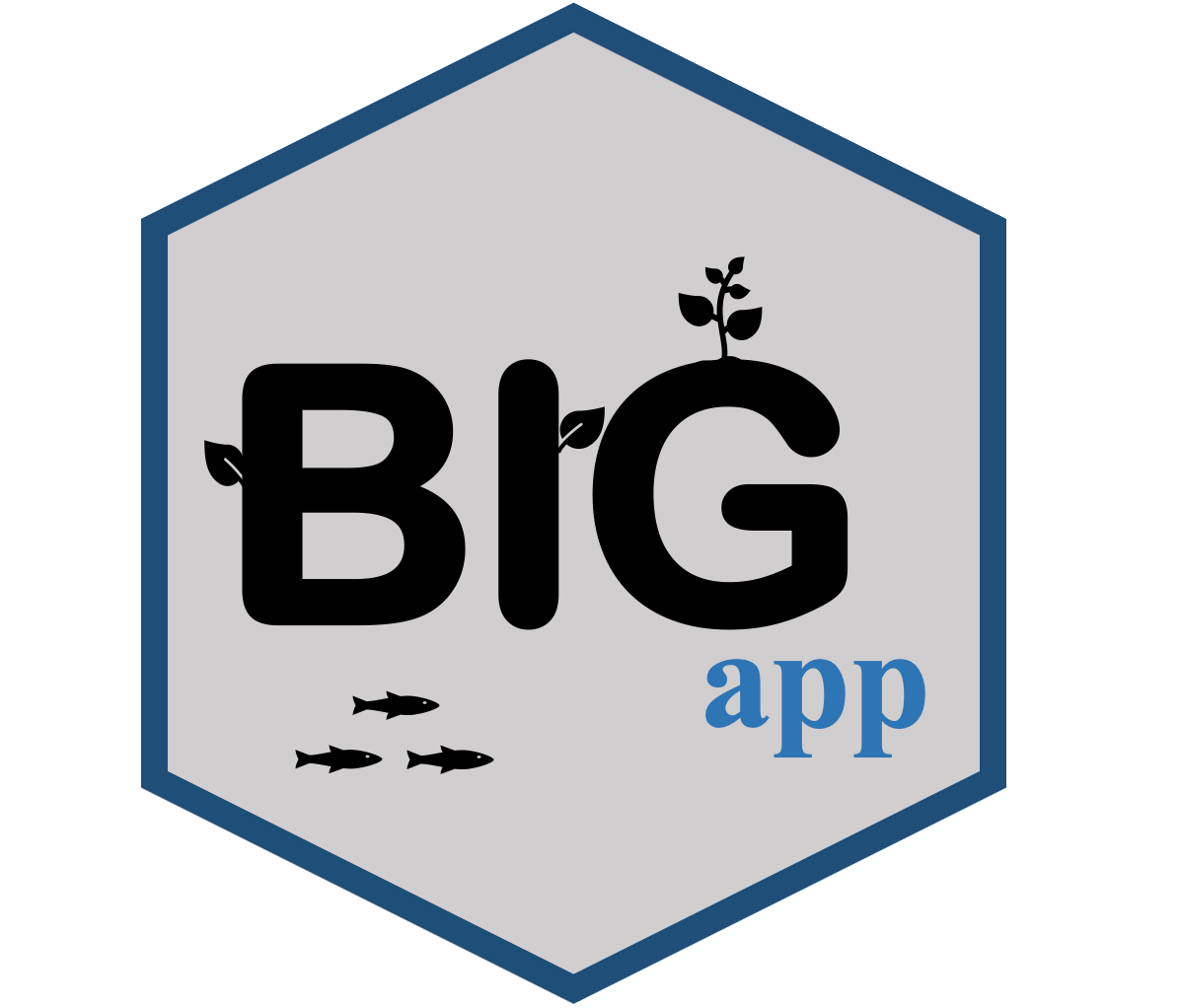 BIGapp logo