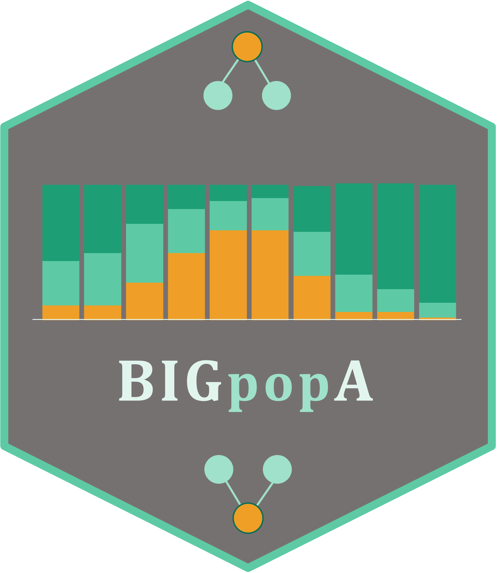 BIGpopA hexagonal logo with pedigree symbols and a stacked composition chart.