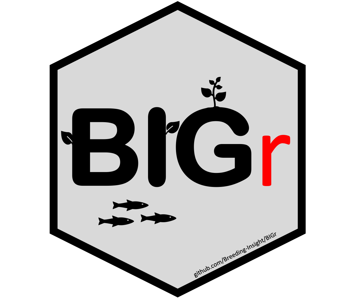 BIGr logo