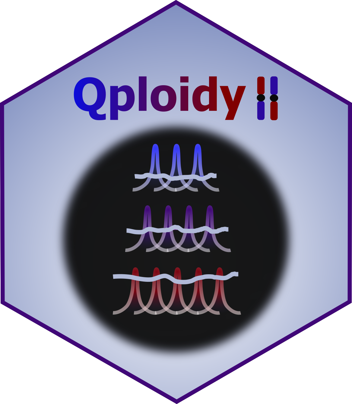Qploidy2 logo